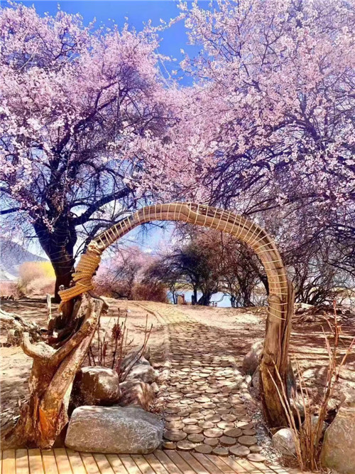 ΢ͼƬ_20250418155305.jpg